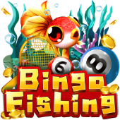 Câu Cá Bingo Shbeta